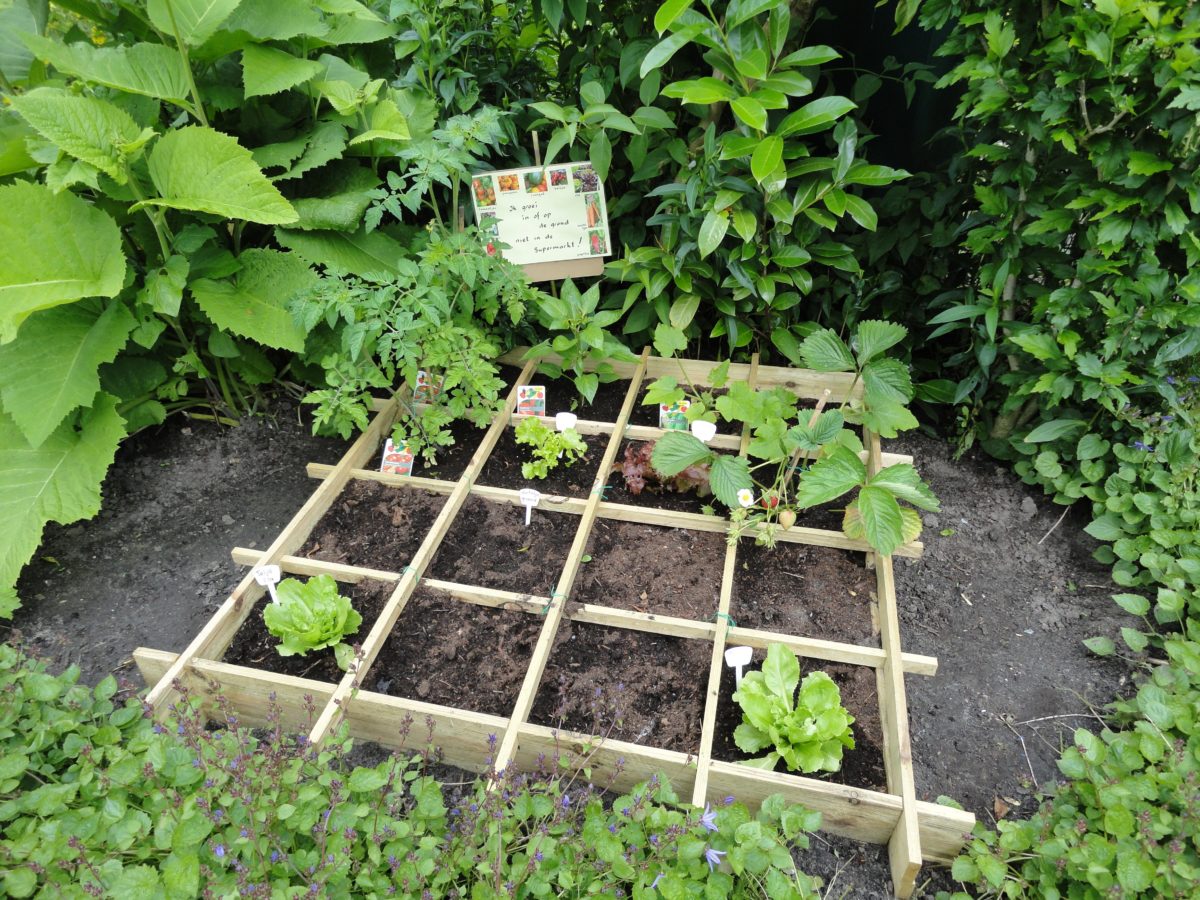 De GOED moestuin Goed Zoeterwoude